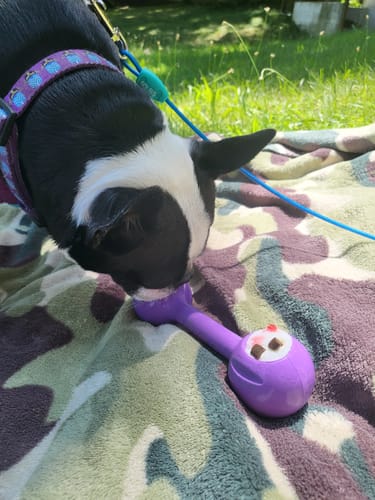 Customer photo review of Bone Refills Dog Meat 90 Grams (4 Pack)®