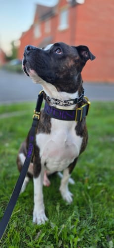 Mell N. review of Personalisation Fee £8.99 image 1 out of 1