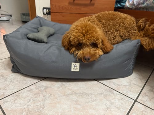 Customer photo review of Gioco Osso