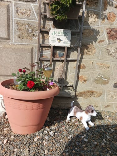 Customer photo review of Jardin | Pancarte Personnalisée