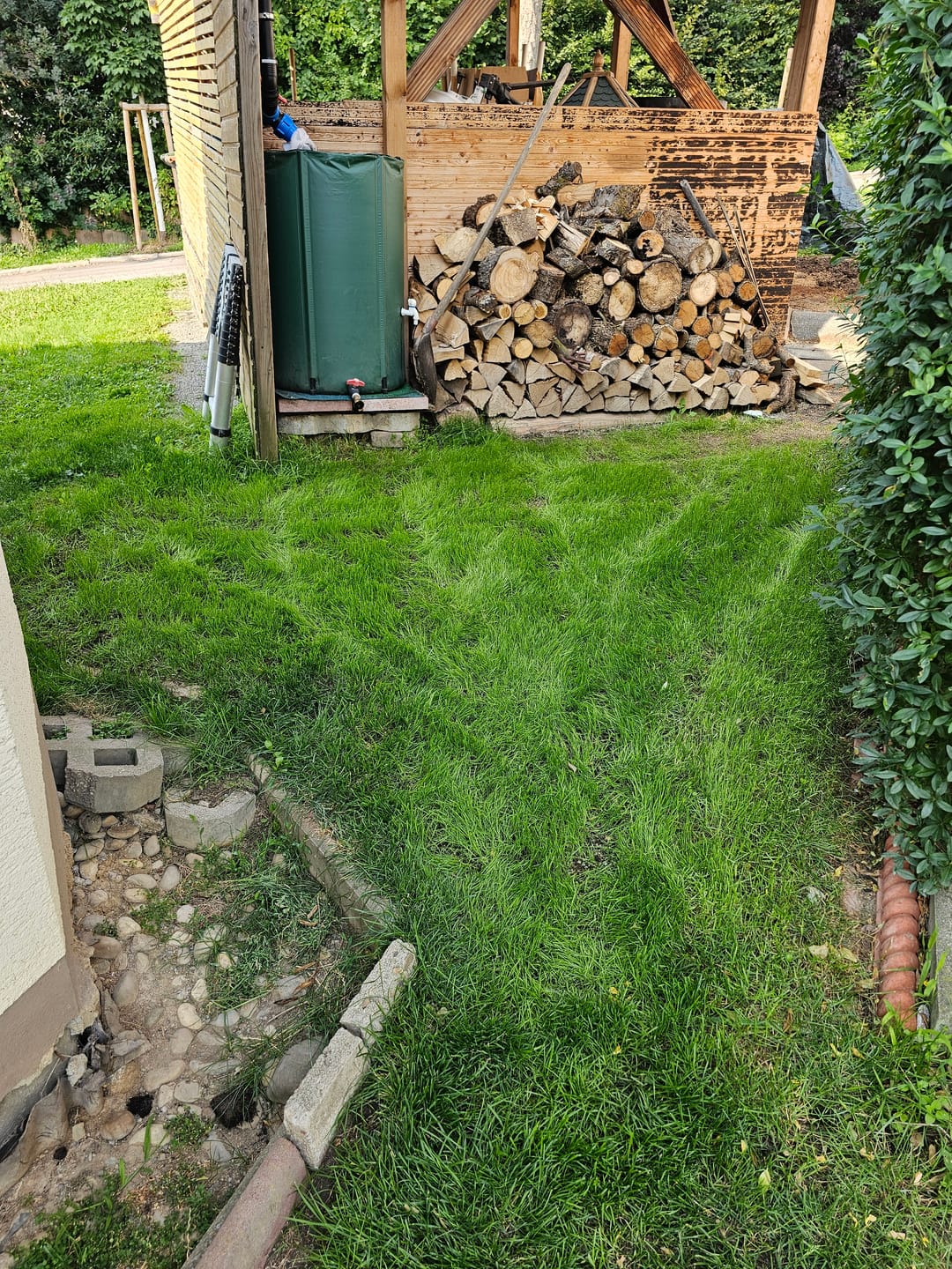 Customer photo review of RASENBLITZ™ - NACHSAAT