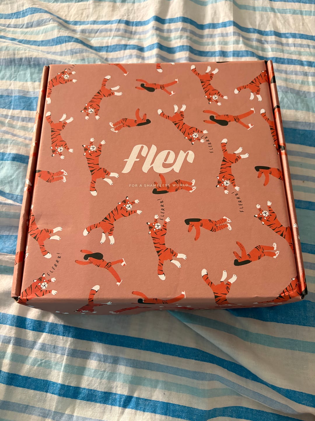 Customer photo review of Dream Team Set