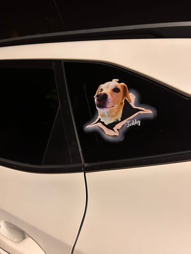 Customer photo review of Personalized Pet lover Crack Car Sticker