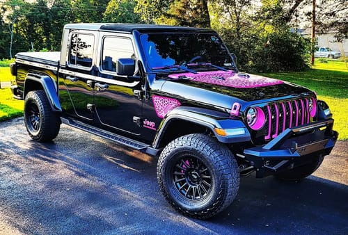 Customer photo review of Pink Cheetah Sport/Sahara/Overland/Willys Hood Graphic