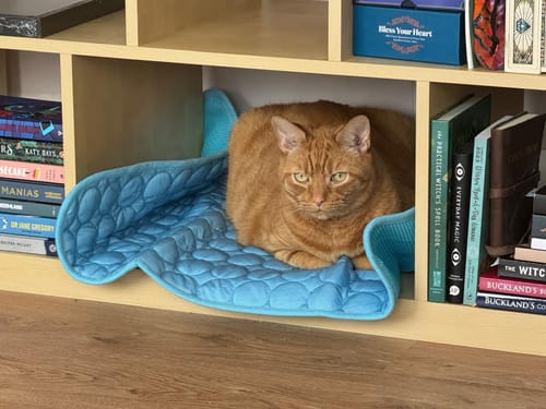 Customer photo review of The Ultimate Cooling Pet Mat