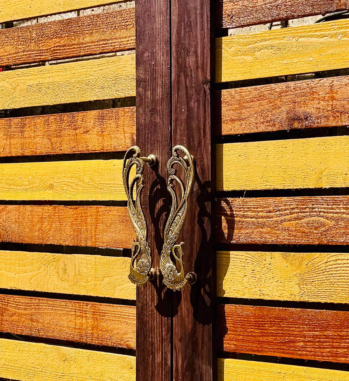 Customer photo review of Brass Peacock Door handle - Antique Brass