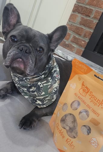 Customer photo review of All Natural Baked Biscuits - 10 oz