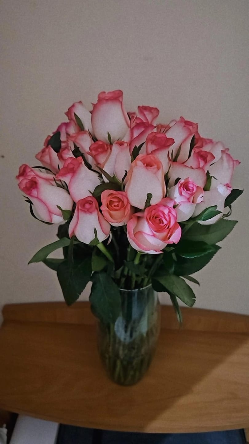 Customer photo review of Jumilla Roses