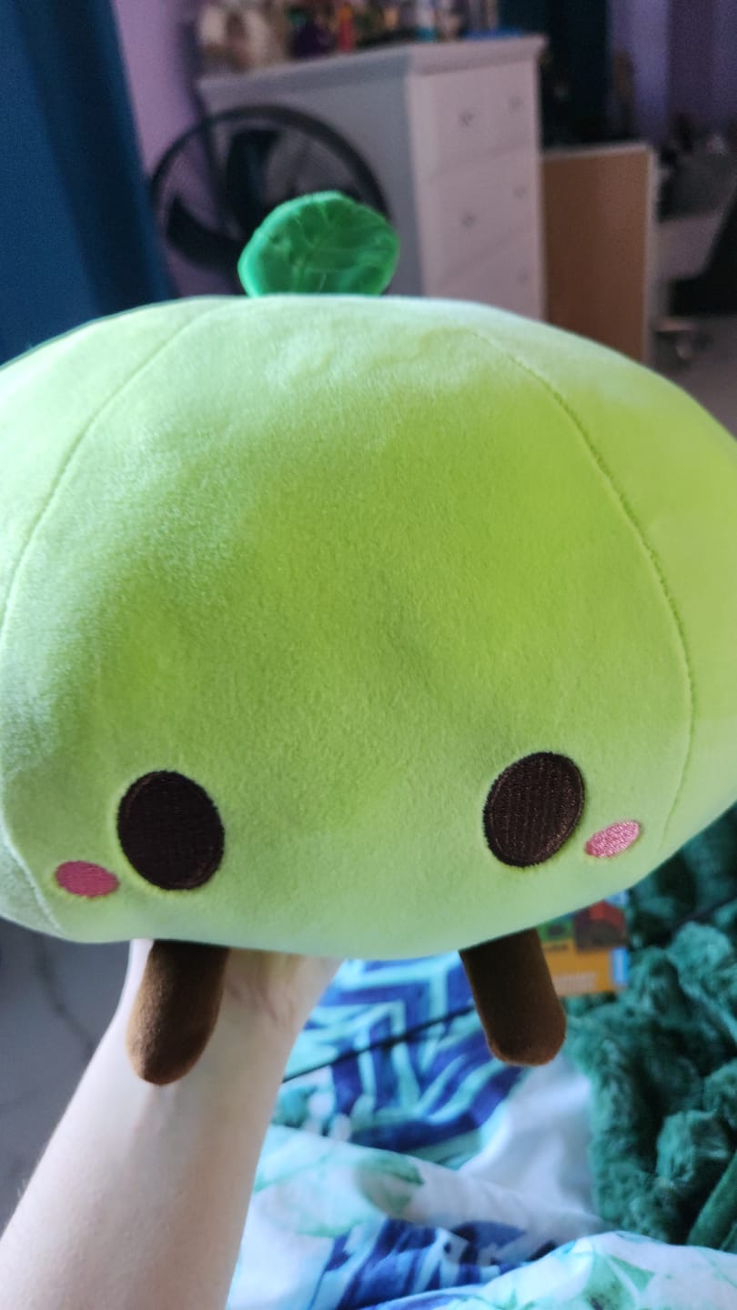 Customer photo review of Stardew Valley - Green Junimo Pillow Plush