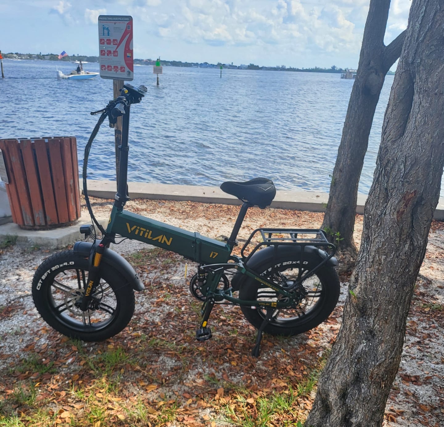 Customer photo review of Shipping Protection