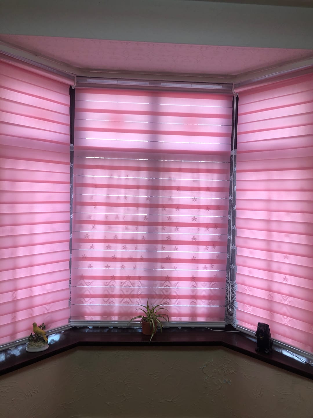 Customer photo review of Bliss Candy Pink Day & Night Blinds
