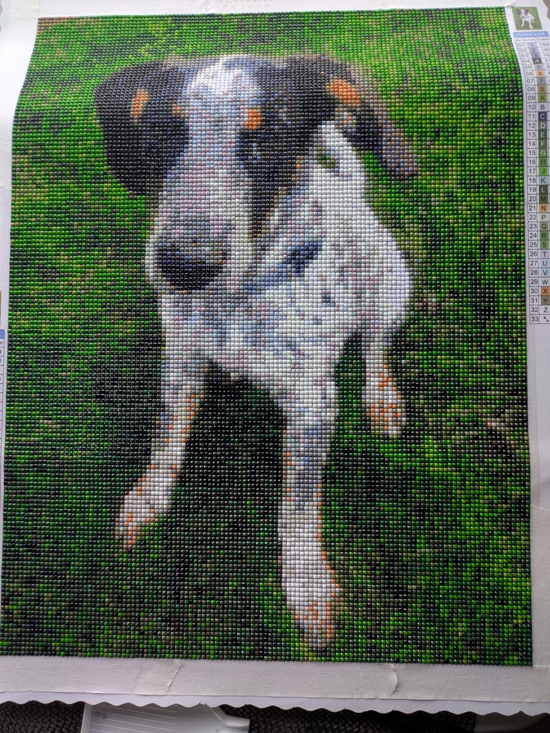 Customer photo review of Custom Diamond Painting