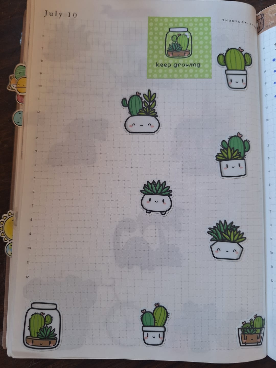 Customer photo review of Cozy Plants Box Set