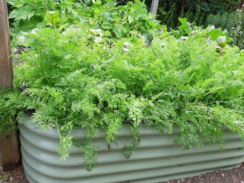 Customer photo review of 17” Tall Modular 9 in 1