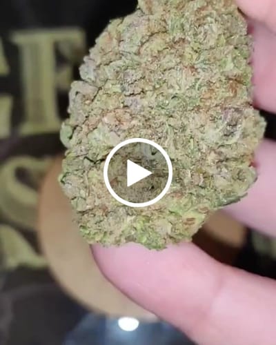 Customer video review of Carbon Fiber THCA Flower