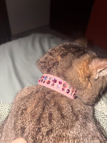 Customer photo review of Collar Trypoli Rosa