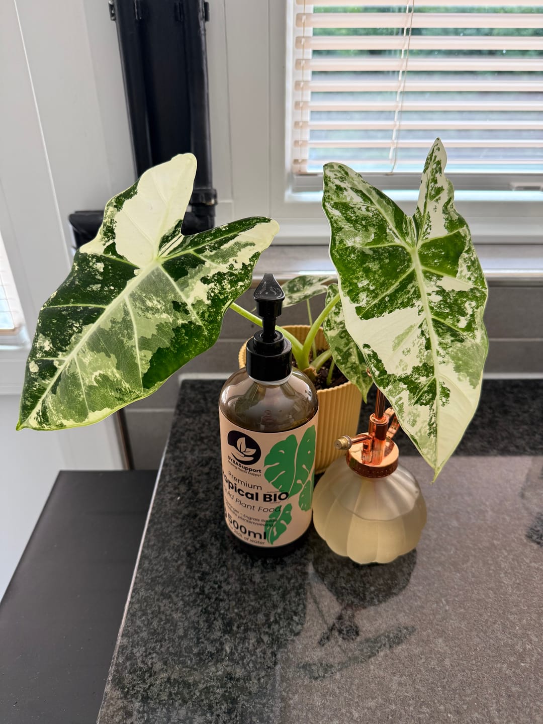 Customer photo review of Tropical BIO Liquid Plant Food
