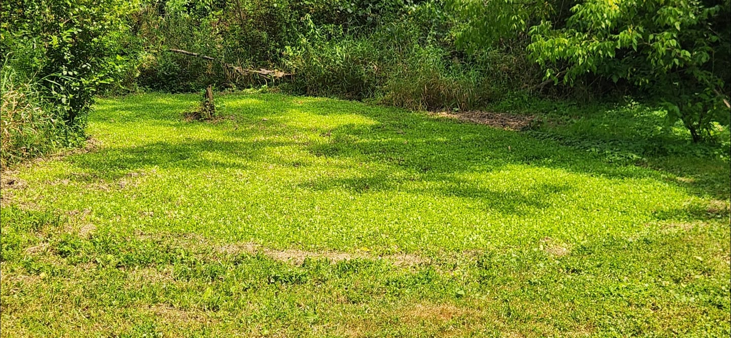 Customer photo review of Multi-Year Mix