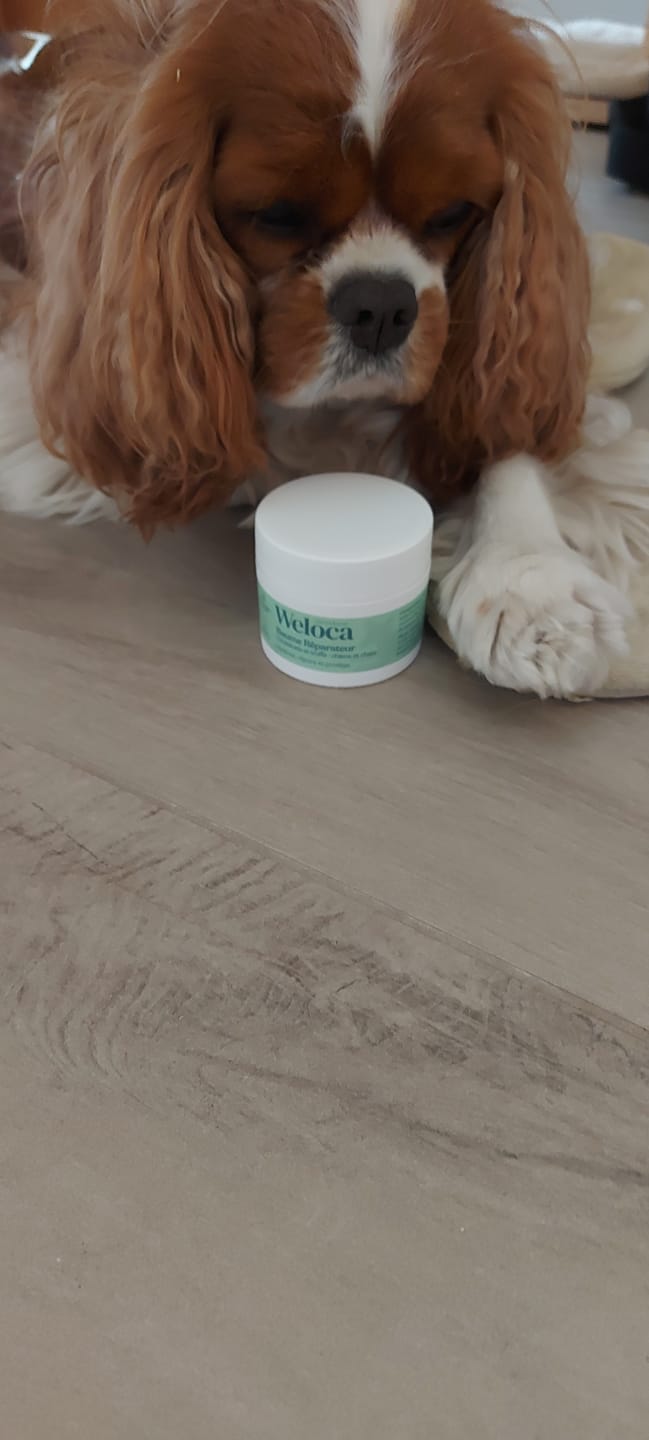 Customer photo review of Baume réparateur | Chiens et chats