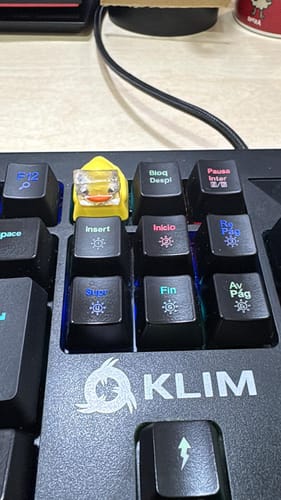 Customer photo review of Quackey - Fidget Toy that Quacks!