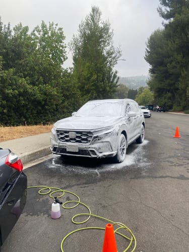 Customer photo review of Swanky Suds