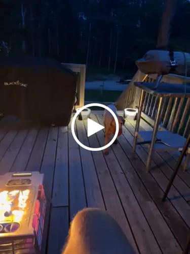 Customer video review of The Howl R4