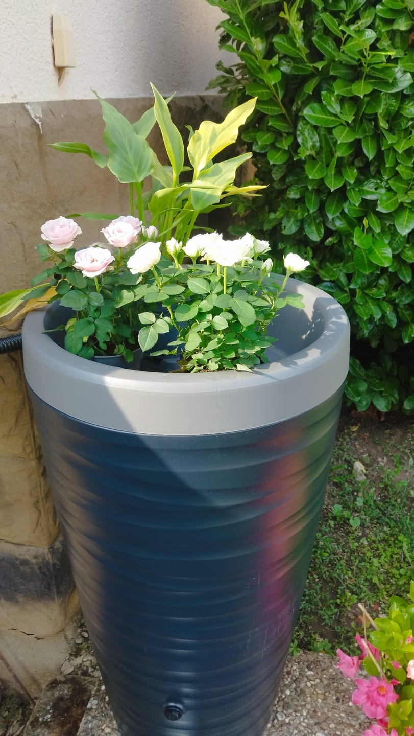 Customer photo review of Ersatzdeckel Regentonnen Wave (240L) und Decore (230L)