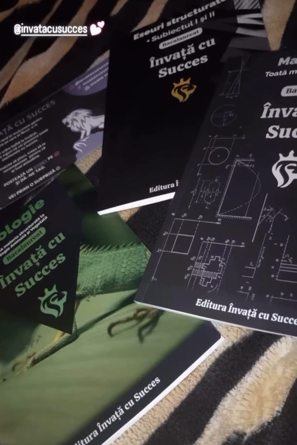 Customer photo review of Învață cu succes - Pachet Bacalaureat | Română + Matematică + Biologie 9-10