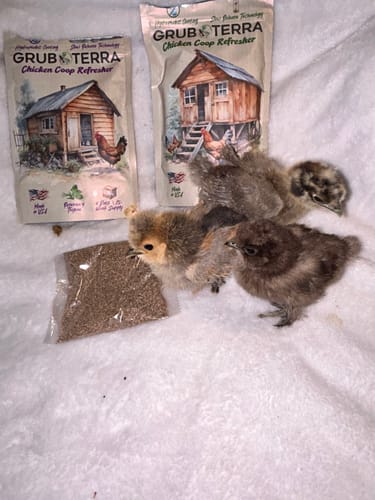 Customer photo review of GrubTerra Coop Refresher!!!
