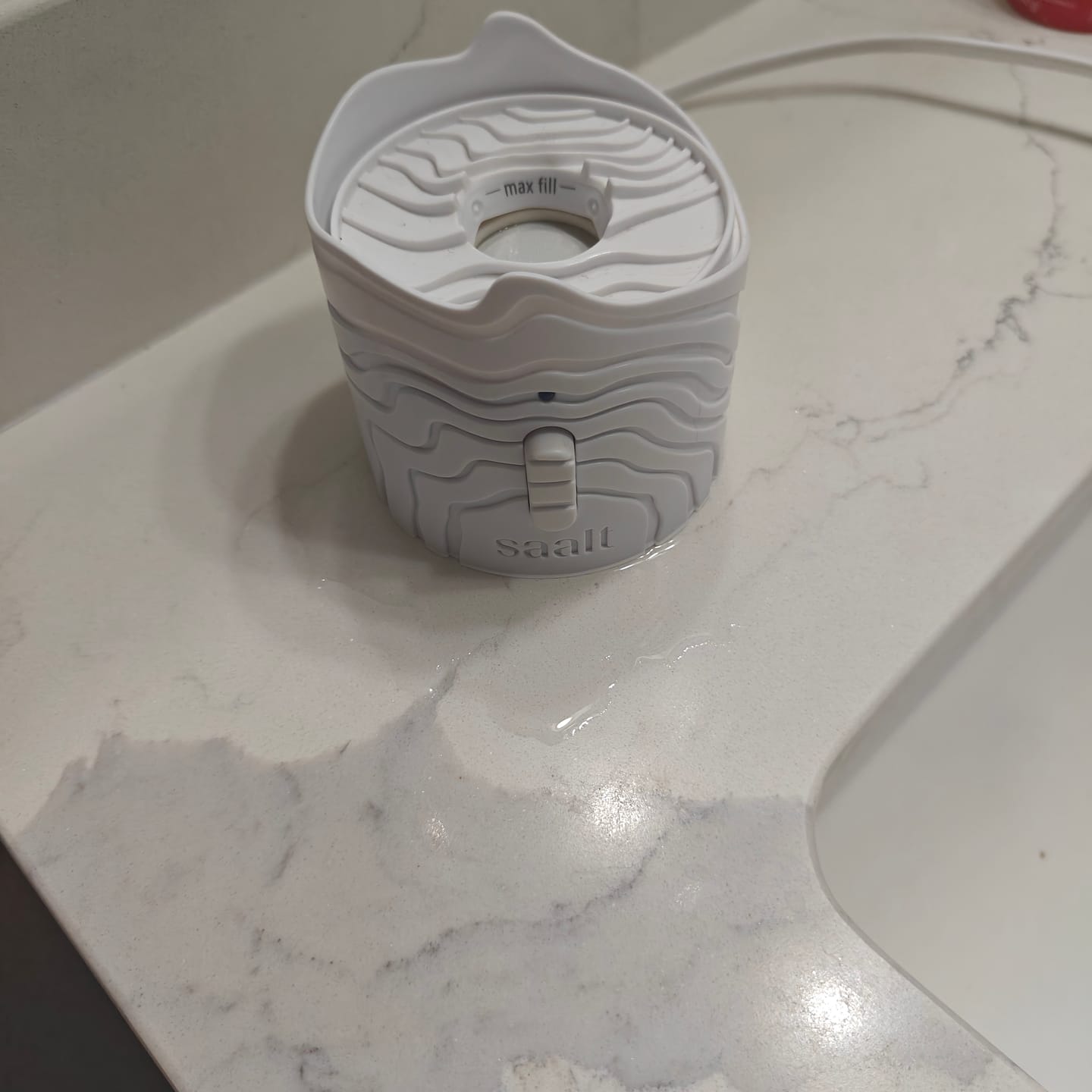 Customer photo review of Saalt Cup and Disc Steamer