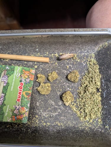 Customer photo review of Chem Dawg - 28 Grams - Minis (Hybrid)