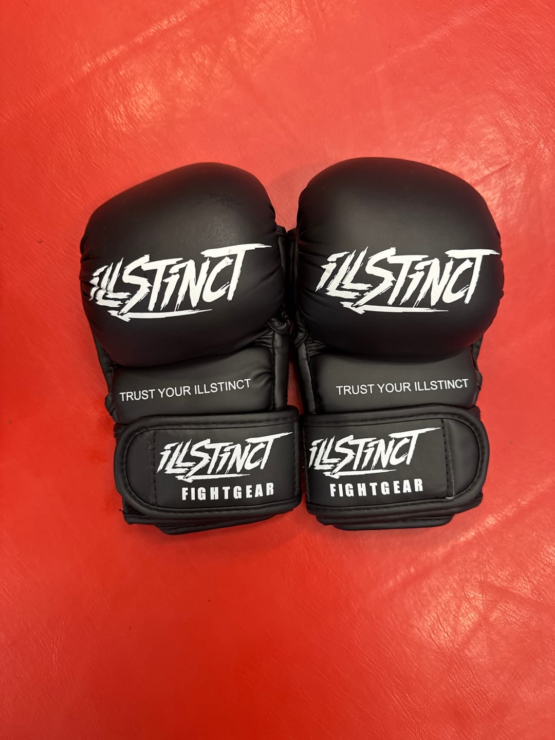 Customer photo review of Skilltech MMA-Sparring Handschuhe