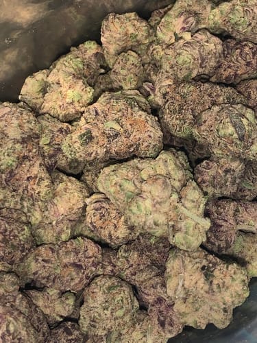 Customer photo review of Curelato - Indoor THCA