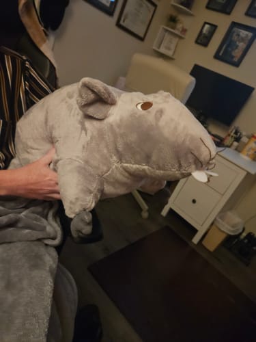 Customer photo review of Mouse Rat Soft Stuffed Plush Toy