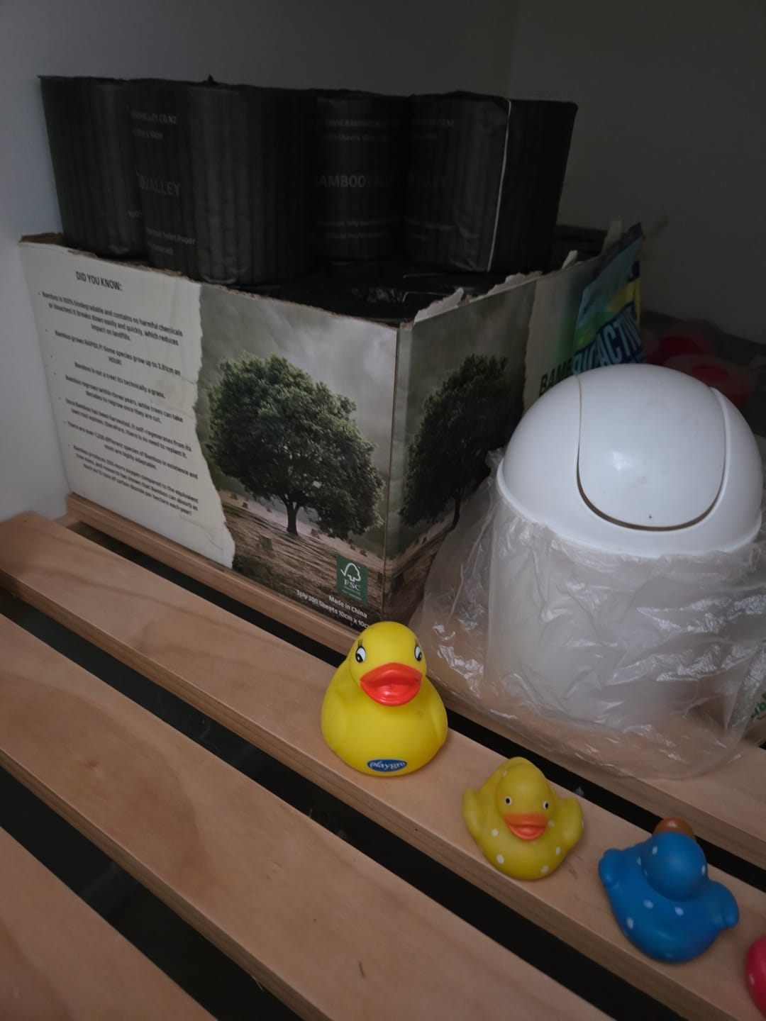 Customer photo review of Donate to planting more Trees! 24 Pack