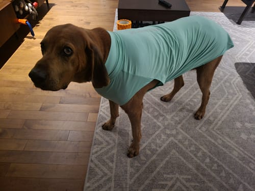 Customer photo review of Sunblock T-Shirt 3 Pack