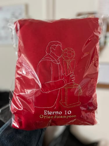 Customer photo review of Soulmate Custom Embroidered Photo Hoodie