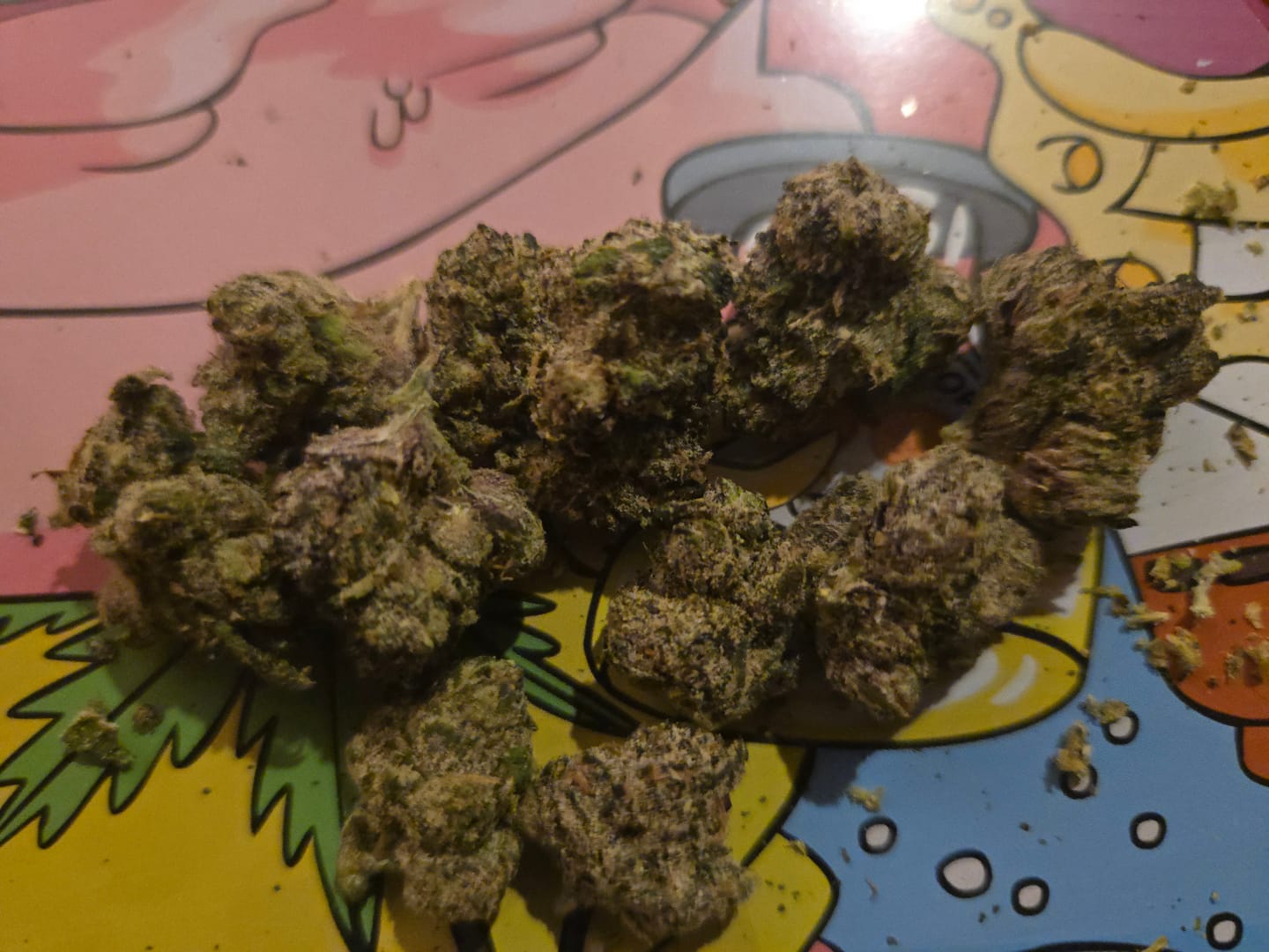 Customer photo review of Blue Lobster