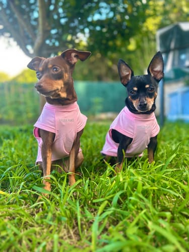 Customer photo review of Sunblock Dog T-Shirt - Pink