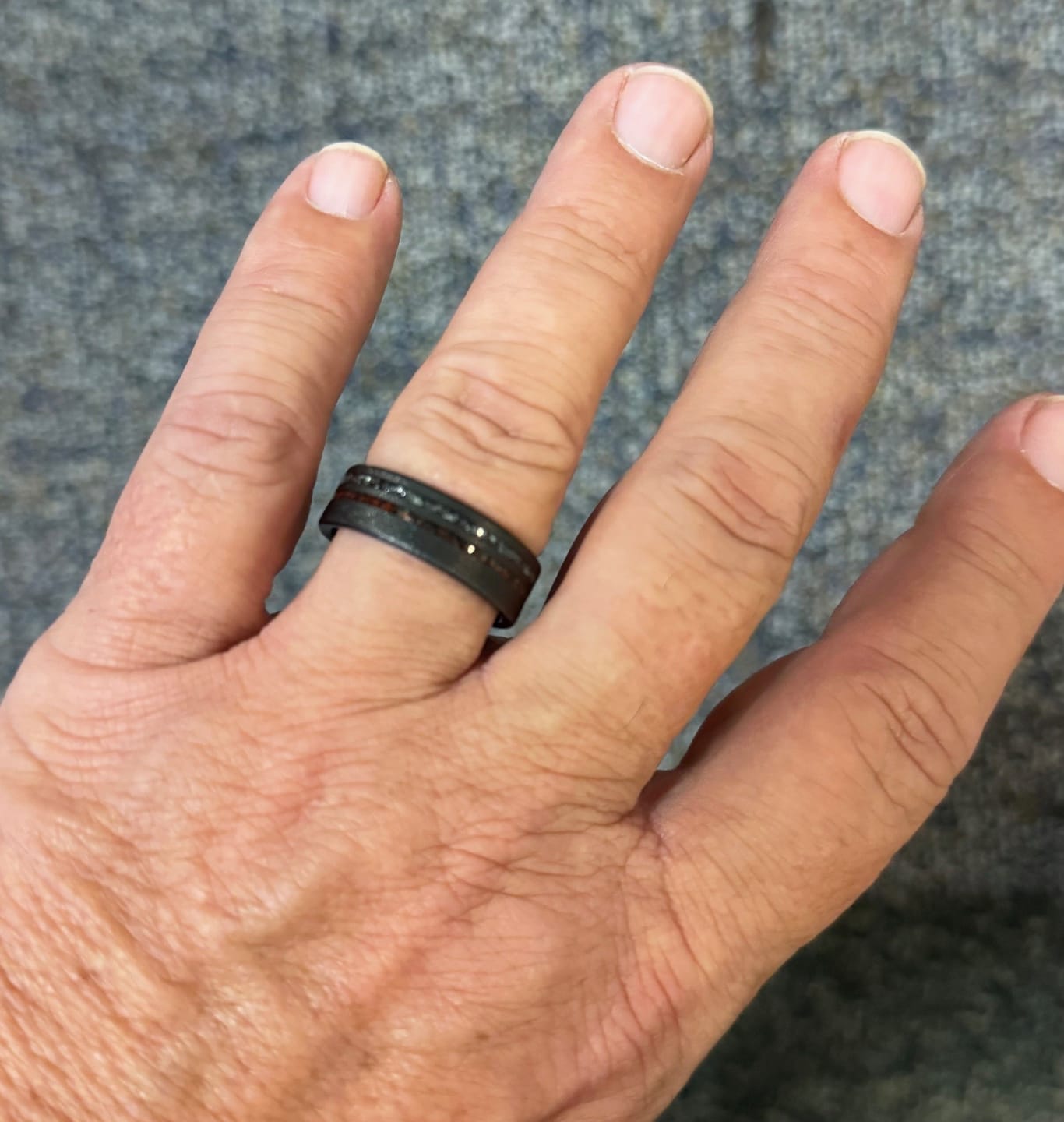 Customer photo review of The Meteorsaur