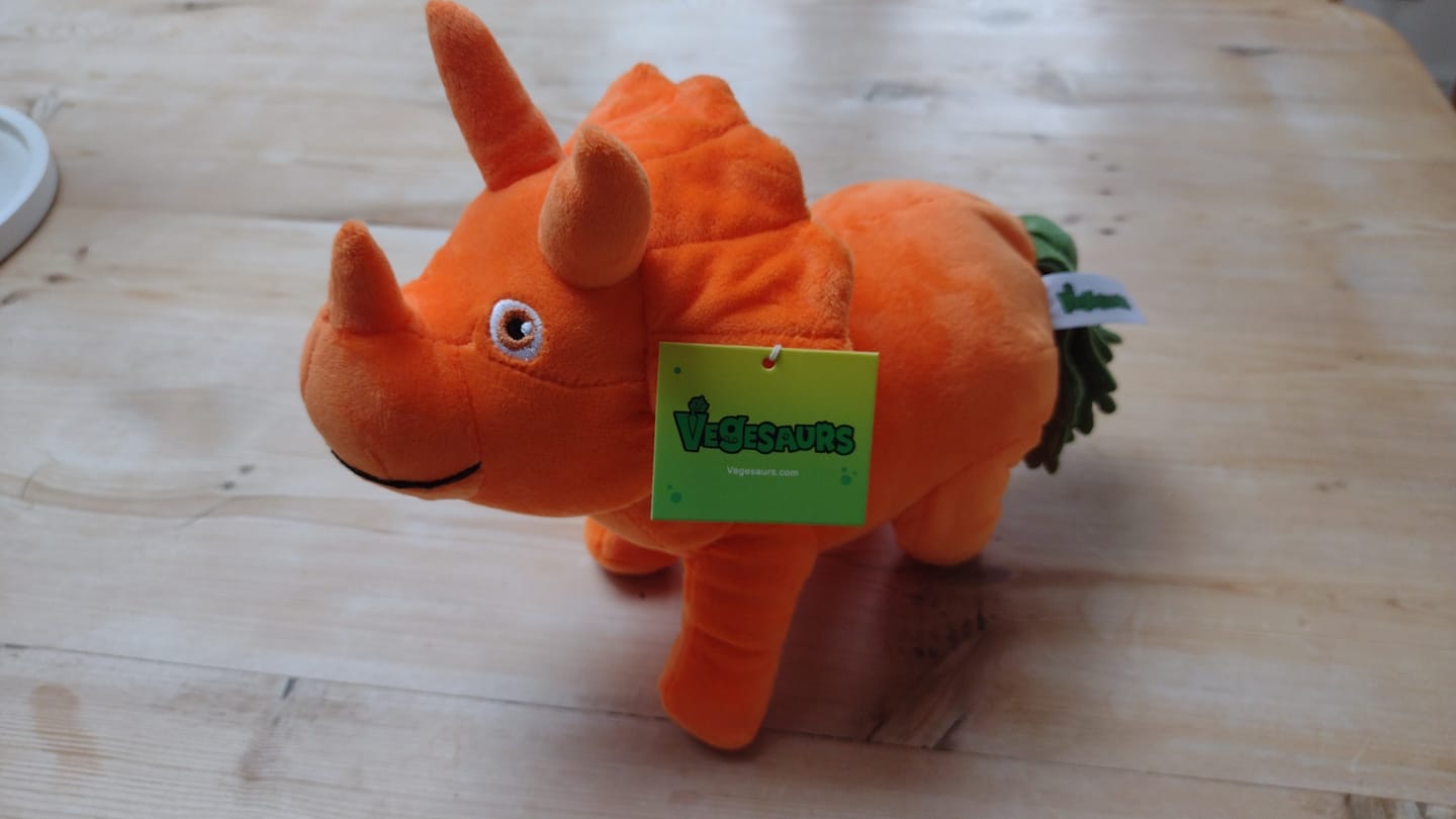 Customer photo review of Vegesaurs Plushie - Ginger