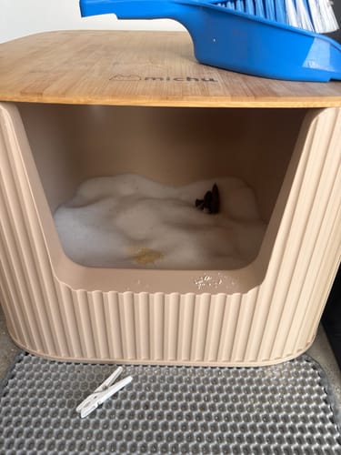 Customer photo review of 3 Month Supply - 1 Cat