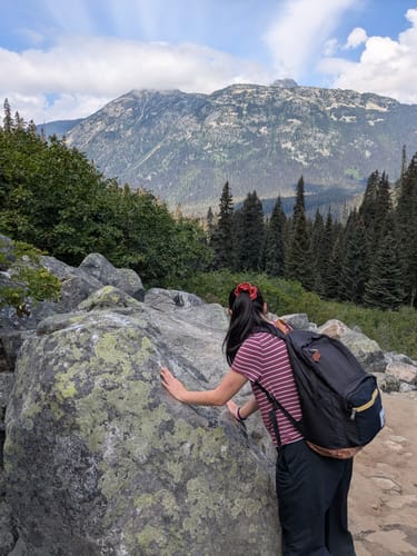 Customer photo review of Arizona Mini