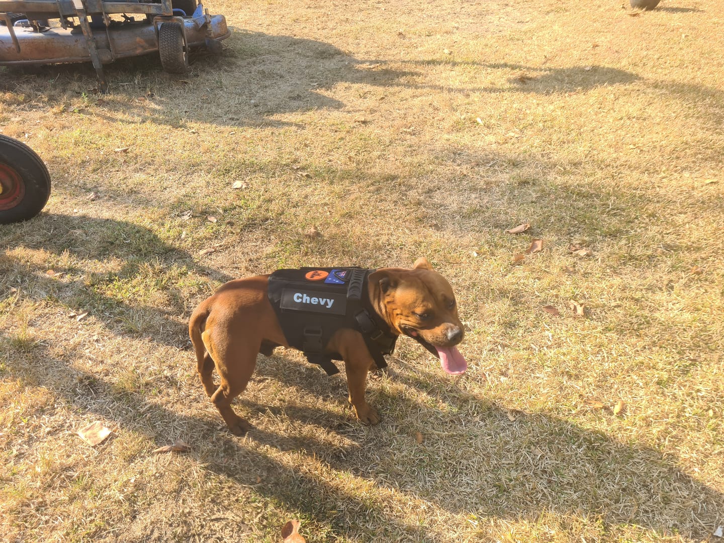 Customer photo review of Tactical Flag Patches