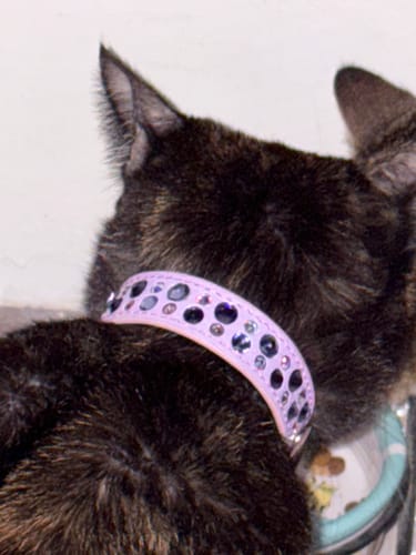 Customer photo review of Collar Trypoli Lila