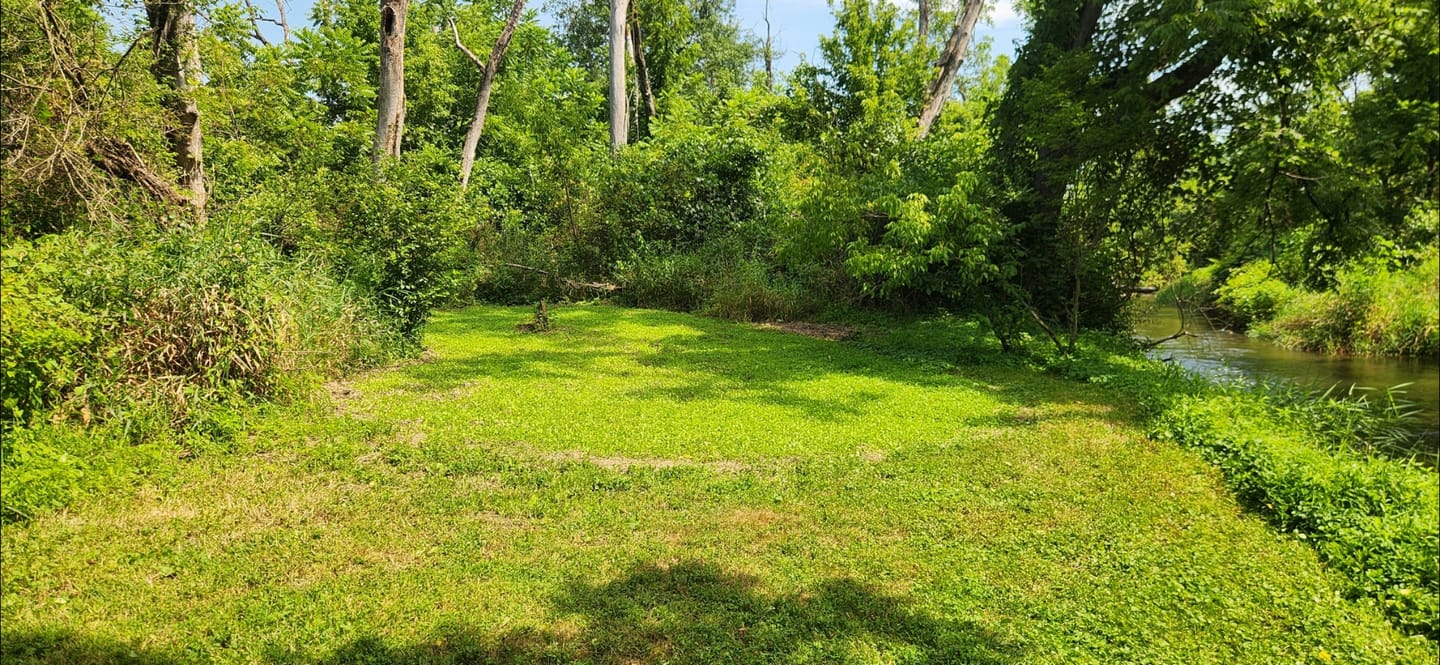 Customer photo review of Whitetail Hill Clover