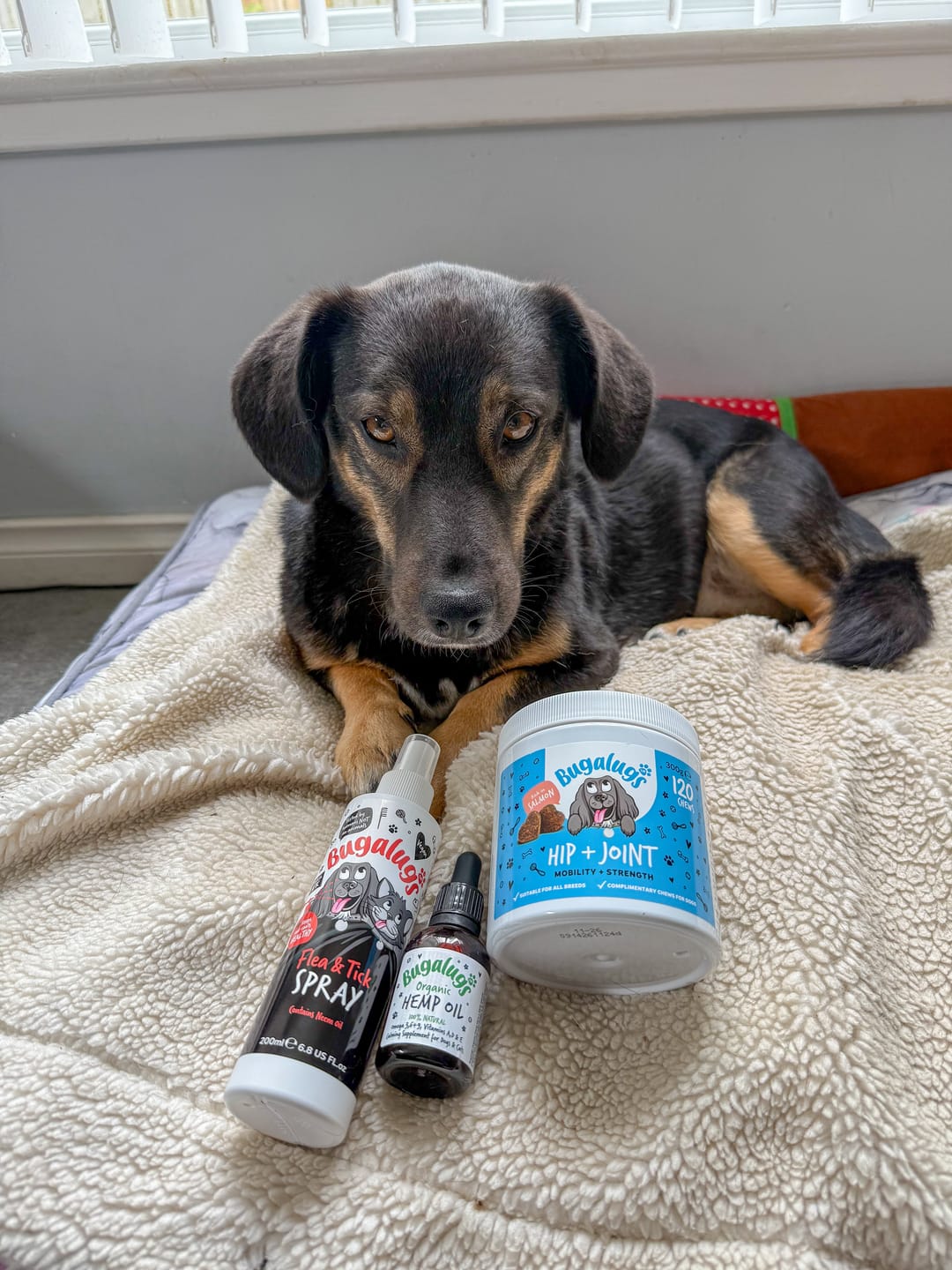 Customer photo review of Hip & Joint Care Supplement Chews for Dogs