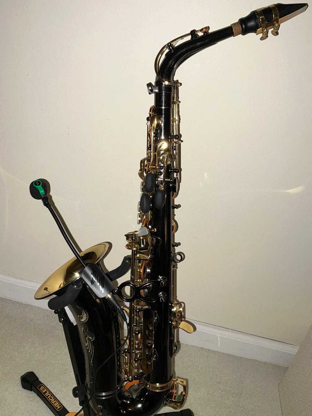 Customer photo review of SonoFlex Instrument Microphone