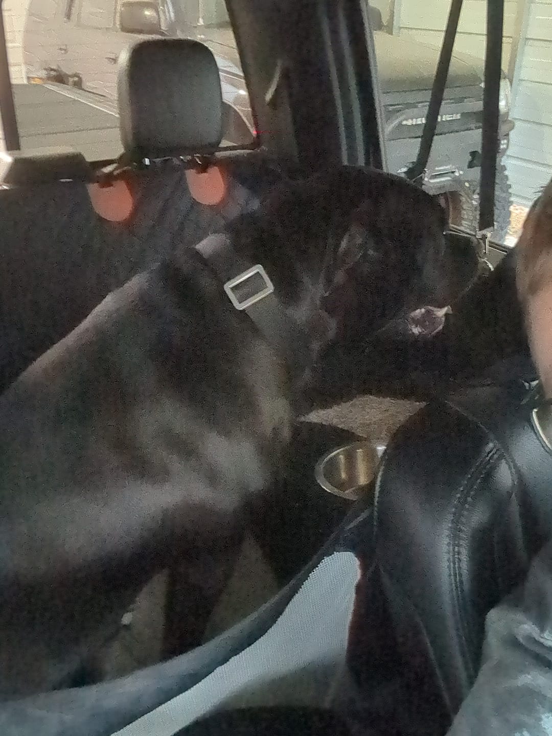 Customer photo review of FurGuard™: Hard Bottom Extender