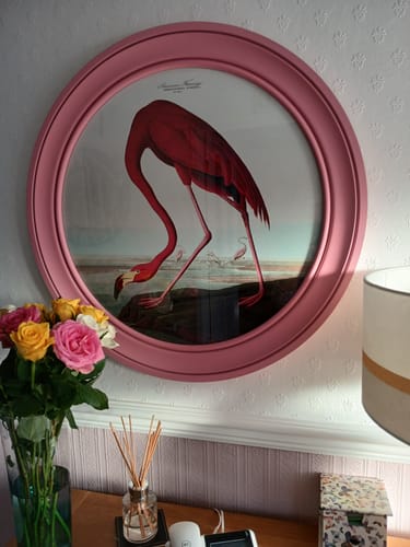 Customer photo review of c.1838 Audubon's Flamingo in Pink Frame